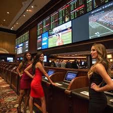 f8game sportsbook bóng đá Việt Nam